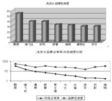 飄影洗發(fā)水營銷策劃案themarketingplanofpuyenshampoo 吳德望 第5頁 市場(chǎng)營銷 品牌策劃 市場(chǎng)營銷 管理文庫